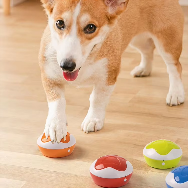 AFP New Interactive Dog Talking Buttons