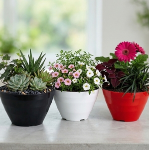 Fabricant vérifié, jardinières rectangulaires en plastique PP de haute qualité, pots à fleurs modernes ondulés pour l'intérieur et l'extérieur - Product Image 6