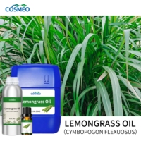 Huile de citronnelle en vrac, prix de gros, qualité cosmétique, huile pure de Cymbopogon Flexuosus, emballage en fût