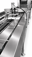 Ligne de production de nouilles automatique NDL en acier inoxydable de qualité alimentaire 350 kg/h, avec cœur PLC commercial, haute efficacité, certifiée CE pour la transformation alimentaire