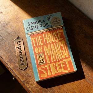 La casa de Mango Street de Sandra Cisneros. Novela literaria atemporal sobre la maduración - Product Image 1