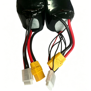 Paquete de Batería de Alta Calidad para Bicicleta Eléctrica, 6S2P 22.2V 4200mAh, Carcasa Metálica para Scooter de 5000W, Carrito de Golf, Triciclo - Product Image 2