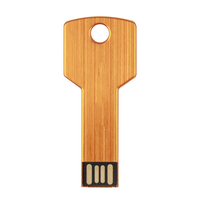 Clé USB promotionnelle mini en forme de clé, interface USB 2.0, pour l'école, l'entreprise, le bureau, le stockage, gadget porte-clés universel
