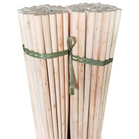 Brosses de nettoyage en palmier naturel en gros pour jardin, maison et sols, avec manche en bois
