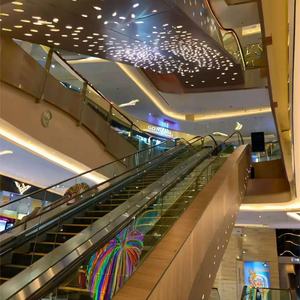 Escaleras Mecánicas Comerciales para Grandes Centros Comerciales, Escaleras Mecánicas Interiores y Exteriores, Escaleras Móviles OTIS - Product Image 4