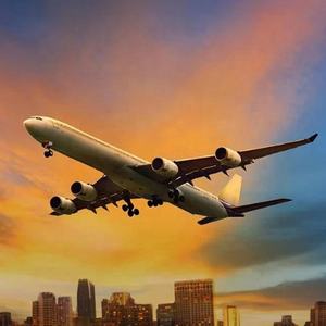 TIPTOP компания предлагает авиаэкспресс-экспедиторскую логистическую службу DDP/DDU, транспортный агент из Китая в США, Великобритания CA - Product Image 1