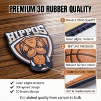 Écussons personnalisables en TPU souple avec dentelle, étiquettes thermocollantes pour vêtements de sport, badges magnétiques à coudre, fonction clignotante LED
