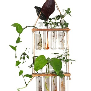 Seeking Excellence Wall Mounted Hydroponic <b>Plant</b> Holder Wooden <b>Frame</b> Glass Test Tubes Indoor Greenery Decor Hanging Planter - Product Image 5