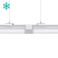 Lampe LED pour entrepôt frigorifique, résistante à la corrosion, à basse température, étanche IP66, pour l'éclairage professionnel des systèmes de réfrigération