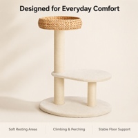 Lit tressé pour chat, zones de repos rembourrées et douces, poteaux à gratter enveloppés, perchoirs d'escalade, espace de sieste intérieur, mobilier pour chat, arbre à chat