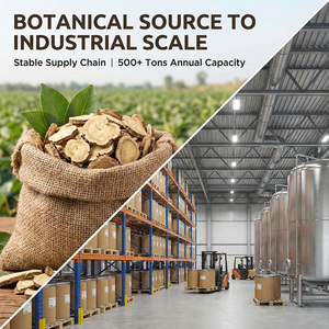 Extrato em Pó de Raiz de Sophora Flavescens Natural de Alta Pureza, Extração por Solvente, Grau Alimentício, Matrina Oximatrina 1%-<span class=keywords><strong>10</strong></span>% 1kg - Product Image 4