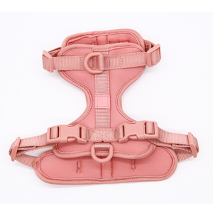 Set tali hewan peliharaan, S M L XL ukuran lucu serat nilon kucing Harness rompi dengan Escape Proof Neoprene Mesh kerah Breakaway tali kekang - Product Image 6