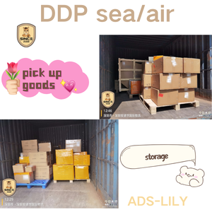 Envío Aéreo <span class=keywords><strong>de</strong></span> China a Dubái, EAU, DDP Puerta a Puerta con Logística Integral y Menor Involucramiento del Cliente - Product Image 1