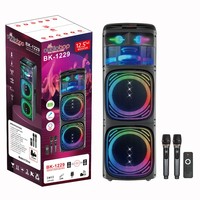 Système audio de karaoké avec haut-parleur extra bass, microphone, éclairage RGB, batterie rechargeable, capacité de production en série, puissance de sortie 100-300W
