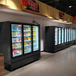 Réfrigérateur Vitrine Supermarché, Congélateur Vertical, Présentoir Réfrigéré pour Boissons, Série DDU, Armoire Multidecks Verticale D - Product Image 6