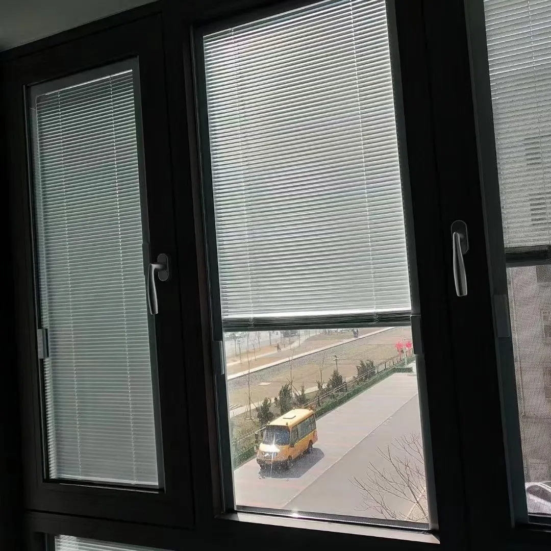Between-the-Glass Blinds for Windows