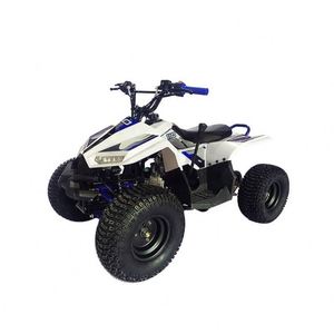 <span class=keywords><strong>Quad</strong></span> enfant SG Blazer 90 à essence 50CC/70CC/<span class=keywords><strong>90CC</strong></span> certifié CE avec transmission automatique, fourni directement par l'usine, remorques agricoles économiques - Product Image 1