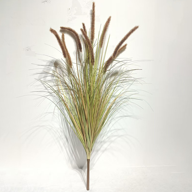 ใบไม้ร่วงสีน้ำตาลหางหมา