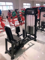Machine de musculation multifonctionnelle commerciale en acier réglable pour extensions dorsales et abdominaux