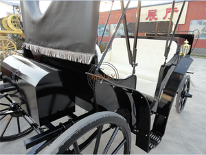 Carrozza Elettrica a Due File per Matrimoni Modello Cenerentola 2024 in Vendita - Product Image 5