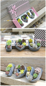 <span class=keywords><strong>Vaso</strong></span> per Piante Succulente in <span class=keywords><strong>Cemento</strong></span> Decorativo da Interno con Scritta 'I Love U' per Dropshipping - Product Image 6