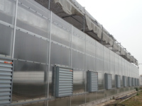 Serre agricole/commerciale pour la plantation de fraises/tomates/cerises/concombres/laitues avec système hydroponique