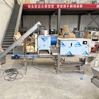 Volautomatische Knoflookschilmachine Productielijn Knoflookpasta Maken Machine Industriële Knoflookschiller Machine