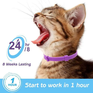 2024 Pet Dog Calming Collar Necklace Anxiety Stress Reduction Pacify Soothing Adjustable Waterproof Cats Dogs Supplies 62/38CM - Product Image 4