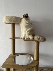 Grand arbre à <span class=keywords><strong>chat</strong></span> multi-niveaux avec poteaux à gratter en sisal, lit en acrylique transparent, meubles d'intérieur <span class=keywords><strong>pour</strong></span> chats - Product Image 4