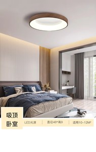 Ánh sáng ban công hiện đại ánh sáng phòng ngủ Đèn trần gỗ màu gỗ Bắc Âu màu gỗ - Product Image 6