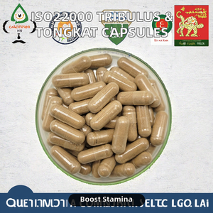 Suplemento de cápsulas de Tribulus Terrestris con certificado HALAL ISO22000 con extracto de Tongkat Ali para todos excepto mujeres embarazadas - Product Image 2