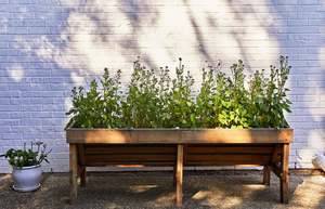 Kit de jardinage durable pour fleurs papillon et légumes, avec pollinisateurs, pour décoration de maison de campagne, en <span class=keywords><strong>pots</strong></span>, idéal comme cadeau - Product Image 5