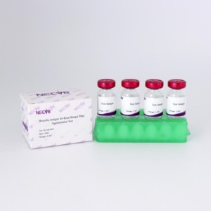 브루셀라 로즈 벤갈 플레이트 응집 검사 항원 - 수의 진단 키트 (OIE 표준) - Product Image 2