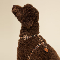 Ensemble laisse et collier pour chien Sunraymascota en cuir PU vegan de qualité supérieure, luxe, mode, réglable, résistant aux évasements, haute qualité