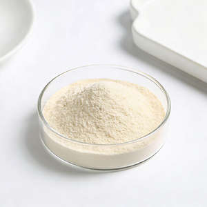 Poudre de Lactobacillus Bulgaricus 10 milliards UFC/g <span class=keywords><strong>pour</strong></span> la fermentation et la production de yaourt - Entrepôt - Product Image 4