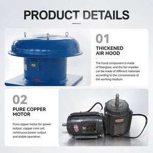 Ventilateur de <span class=keywords><strong>toit</strong></span> en PRV résistant à la corrosion pour usine chimique, ventilateur d'extraction d'air corrosif, ventilateur de <span class=keywords><strong>toit</strong></span> industriel, fabrication sur mesure - Product Image 4