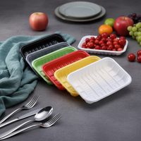 Barquettes rectangulaires jetables en plastique PP multicolores pour aliments frais/fruits/fruits de mer/viande/burgers – Vente en gros