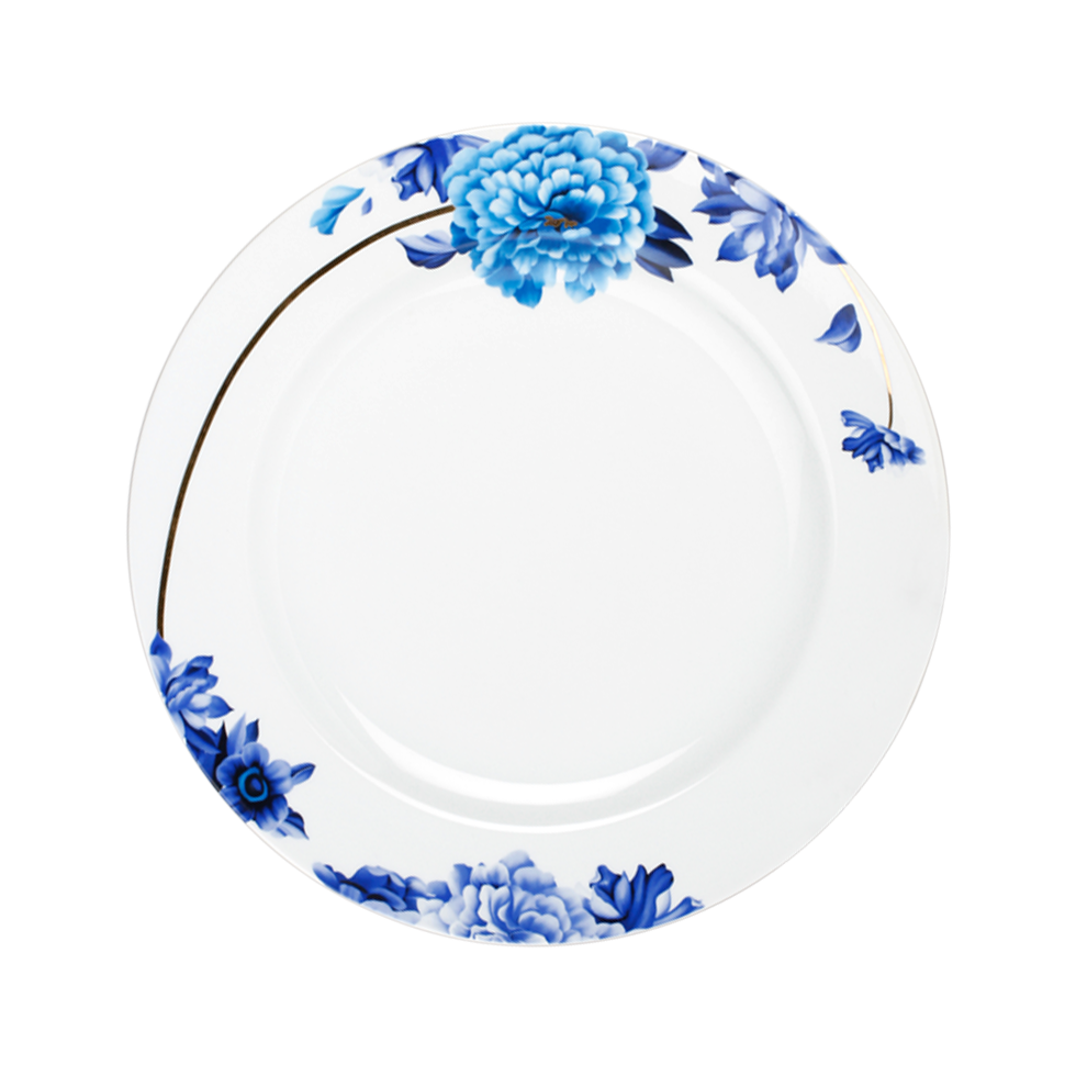 12.5 "Piastra di carica