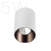 Meilleur Vendeur 5W 10W 15W 20W 30W A MENÉ LA Lumière De Tache De Plafond Monté Par Surface de Plafonnier LED COB Rond Downlight Monté Par Surface