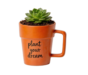 Tazza da Caffè in Ceramica Classica con Motivi Floreali, Miglior <span class=keywords><strong>Regalo</strong></span> per Insegnanti - Product Image 4