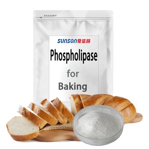 Bột Enzyme phospholipase để nướng, tăng độ trắng của sản phẩm bột, tăng cường bột và kết cấu mịn - Product Image 1