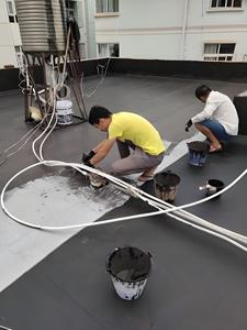 Revestimiento Impermeable Específico para Exteriores para Techos de Fábricas, Techos Residenciales y Revestimientos Impermeables Específicos para Techos - Product Image 4