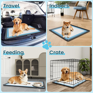 Support pour tapis de propreté pour chiens, en silicone, avec rebord surélevé anti-déversement et antidérapant, pour l'apprentissage de la propreté des chiots - Product Image 6