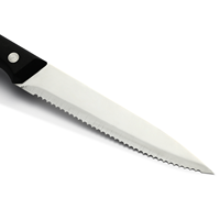 Couteau à viande dentelé en acier inoxydable OEM avec manche en plastique pour la cuisine