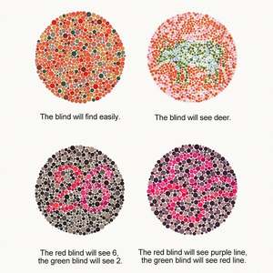 Gafas de Sol con Clip Correctivas para Daltonismo Rojo-Verde, para Hombres y Mujeres, Último Modelo - Product Image 4