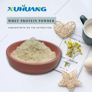 High Quality Free Sample Whey Protein Powder