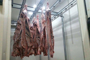 Énergie solaire -18 ℃   Chambre froide de stockage pour viande de bœuf, congélation de poisson, avec unité de condensation - Product Image 2