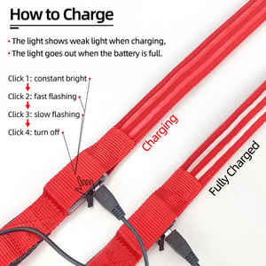 Toptan USB şarj edilebilir LED lamba köpek tasma yumuşak gece yürüyüş emniyet tasma ile kişiselleştirilmiş tutuşunu ve parlayan ışıklar - Product Image 3
