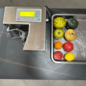 Machine à peler les fruits électrique commerciale, équipement automatique pour enlever la peau des pommes, poires, oranges, citrons - Product Image 2