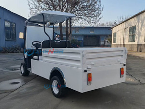 Voiturette de golf 2 places à coloris personnalisé, nouveau design, très demandée, pour transport extérieur avec porte - Product Image 4